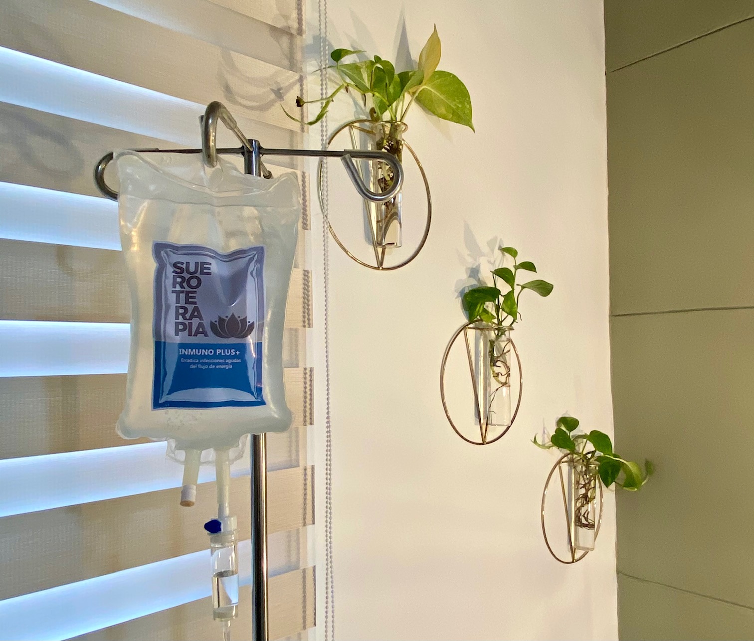 Bona Vita Lounge Sueroterapia